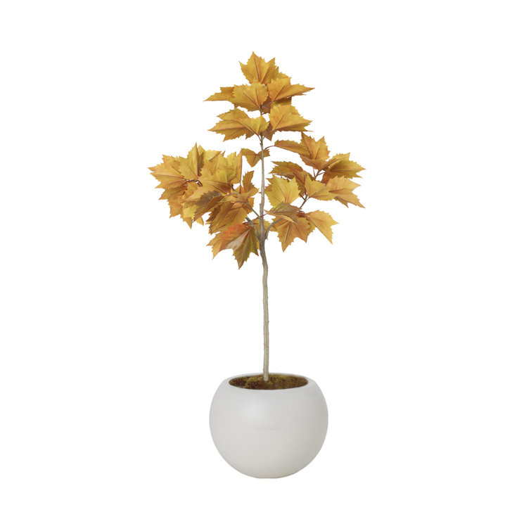 Primrue 70.75'' Artificial Maple Leaf Tree In A White Fishbowl Planter